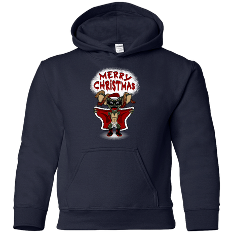 Sweatshirts Navy / YS Flashing Through The Snow Youth Hoodie