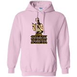 Sweatshirts Light Pink / Small Fly In The Ointment Pullover Hoodie