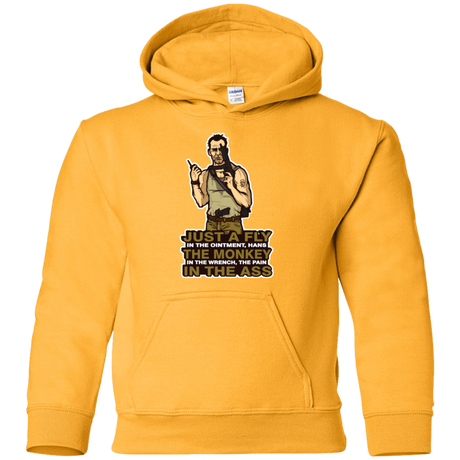 Sweatshirts Gold / YS Fly In The Ointment Youth Hoodie