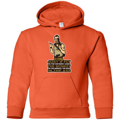 Sweatshirts Orange / YS Fly In The Ointment Youth Hoodie