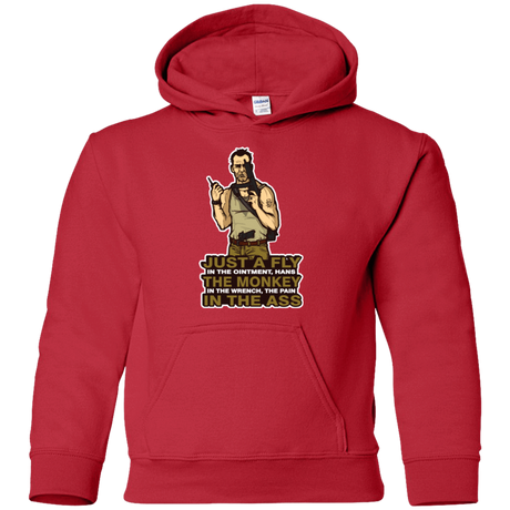 Sweatshirts Red / YS Fly In The Ointment Youth Hoodie