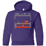 Sweatshirts Purple / YS Fly you fools Youth Hoodie