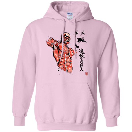 Sweatshirts Light Pink / Small Flying for Freedom Pullover Hoodie