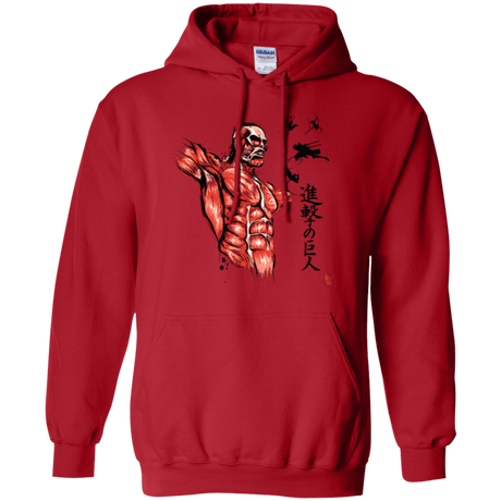 Sweatshirts Red / Small Flying for Freedom Pullover Hoodie