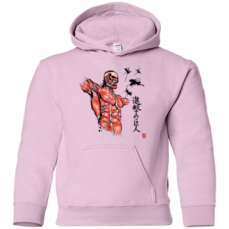 Sweatshirts Light Pink / YS Flying for Freedom Youth Hoodie