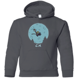 Flying Wagon Youth Hoodie