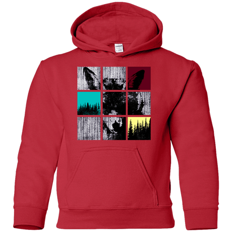 Sweatshirts Red / YS Fox Pane Youth Hoodie