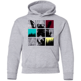 Sweatshirts Sport Grey / YS Fox Pane Youth Hoodie