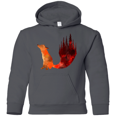Sweatshirts Charcoal / YS Fox Tail Youth Hoodie