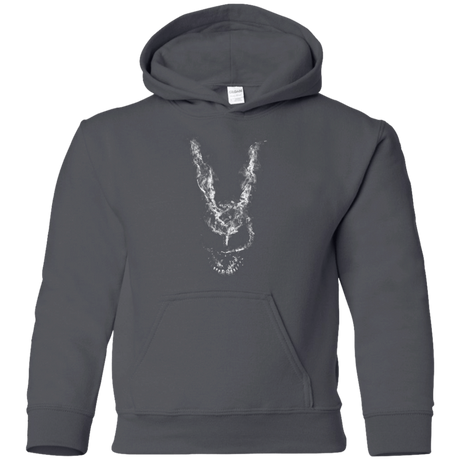 Sweatshirts Charcoal / YS Frank Smoke Youth Hoodie