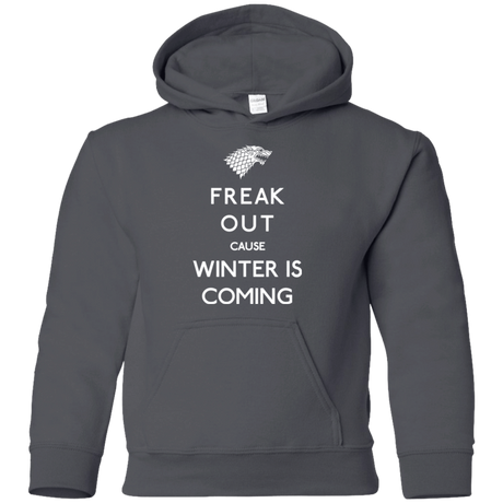 Sweatshirts Charcoal / YS Freak winter Youth Hoodie