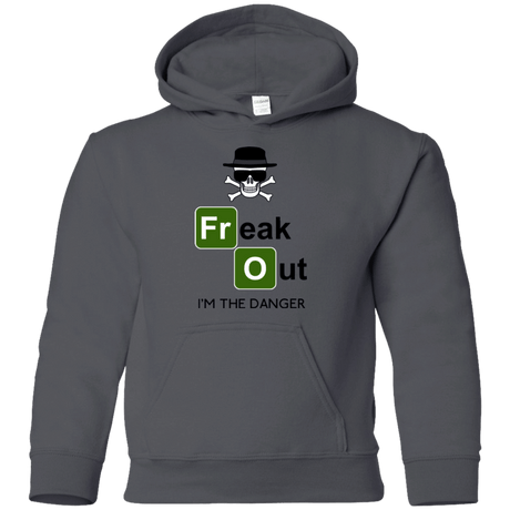 Sweatshirts Charcoal / YS Freaking danger Youth Hoodie