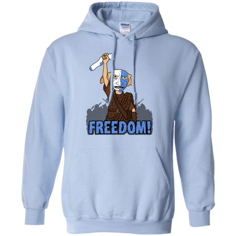 Sweatshirts Light Blue / Small Freedom Pullover Hoodie