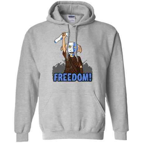 Sweatshirts Sport Grey / Small Freedom Pullover Hoodie