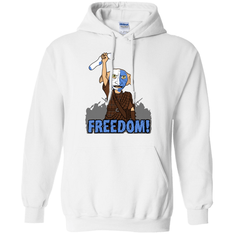 Sweatshirts White / Small Freedom Pullover Hoodie