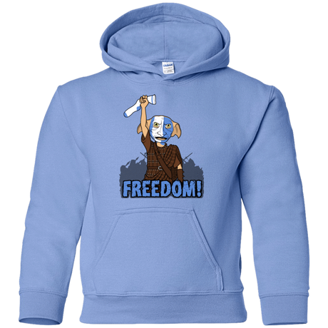 Sweatshirts Carolina Blue / YS Freedom Youth Hoodie