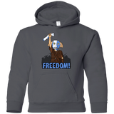 Sweatshirts Charcoal / YS Freedom Youth Hoodie