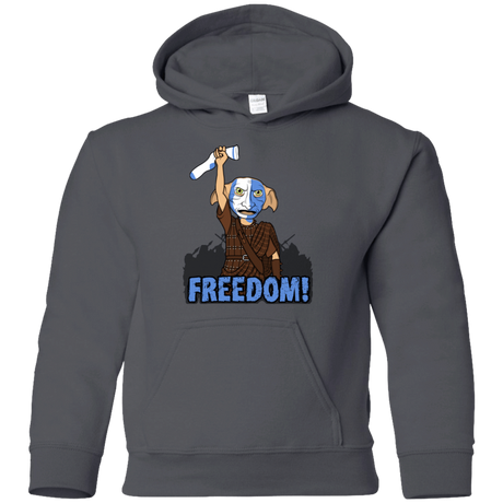 Sweatshirts Charcoal / YS Freedom Youth Hoodie