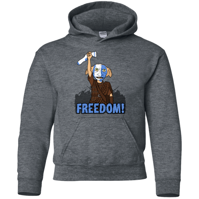 Sweatshirts Dark Heather / YS Freedom Youth Hoodie