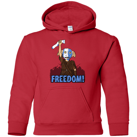 Sweatshirts Red / YS Freedom Youth Hoodie