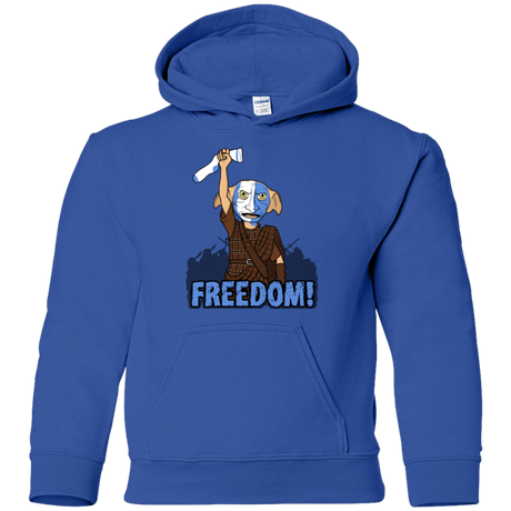 Sweatshirts Royal / YS Freedom Youth Hoodie