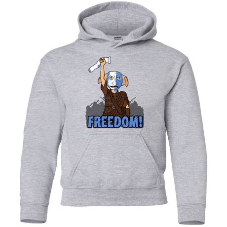 Sweatshirts Sport Grey / YS Freedom Youth Hoodie