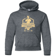 Sweatshirts Dark Heather / YS Furies Youth Hoodie