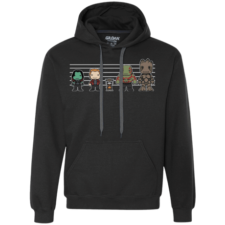 Sweatshirts Black / Small Galactics Premium Fleece Hoodie