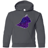 Sweatshirts Charcoal / YS Galaxy Cat Youth Hoodie