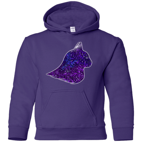 Sweatshirts Purple / YS Galaxy Cat Youth Hoodie
