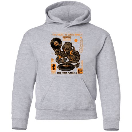 Sweatshirts Sport Grey / YS GALAXY GIG Youth Hoodie