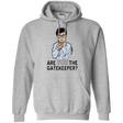 Sweatshirts Sport Grey / Small gatekeeper Pullover Hoodie