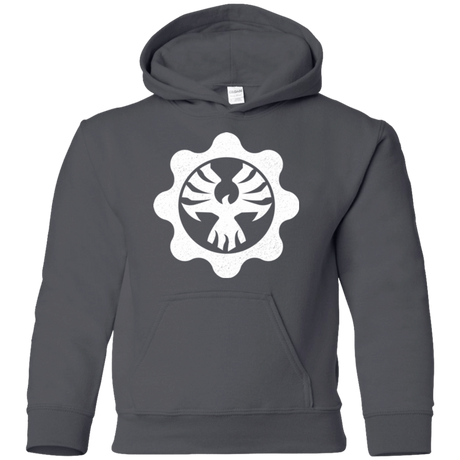 Sweatshirts Charcoal / YS Gears of War 4 Cog Emblem Youth Hoodie
