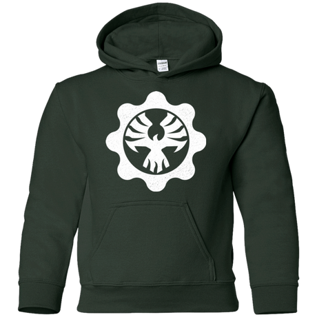 Sweatshirts Forest Green / YS Gears of War 4 Cog Emblem Youth Hoodie
