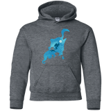 Sweatshirts Dark Heather / YS Genius Portrait Youth Hoodie