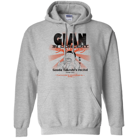 Sweatshirts Sport Grey / Small Gian Concert Pullover Hoodie