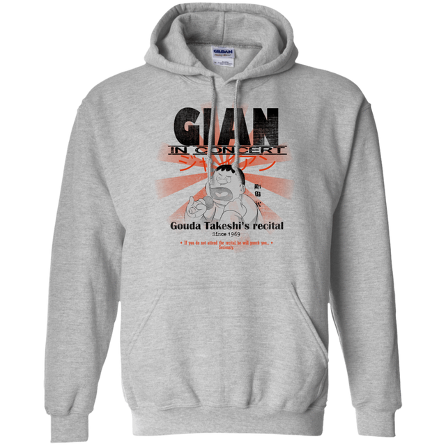 Sweatshirts Sport Grey / Small Gian Concert Pullover Hoodie