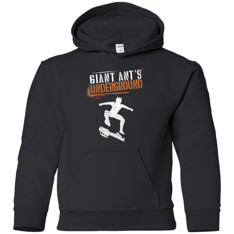 Sweatshirts Black / YS Giant Ants Youth Hoodie