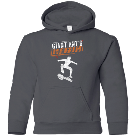 Sweatshirts Charcoal / YS Giant Ants Youth Hoodie