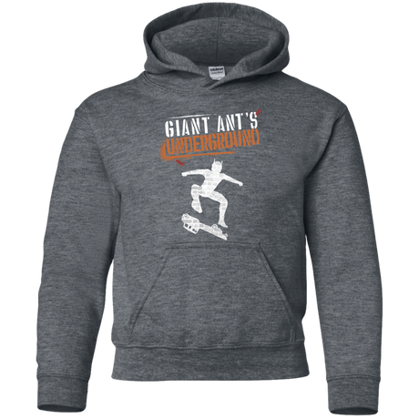 Sweatshirts Dark Heather / YS Giant Ants Youth Hoodie