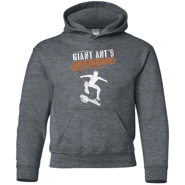Sweatshirts Dark Heather / YS Giant Ants Youth Hoodie