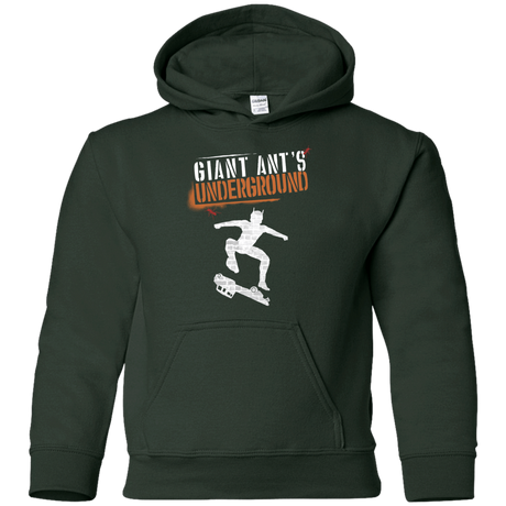 Sweatshirts Forest Green / YS Giant Ants Youth Hoodie