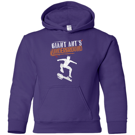 Sweatshirts Purple / YS Giant Ants Youth Hoodie