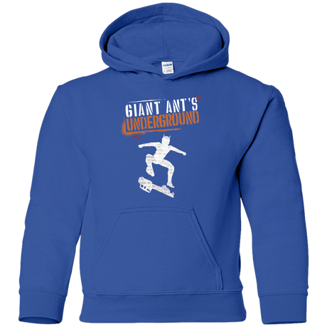 Sweatshirts Royal / YS Giant Ants Youth Hoodie