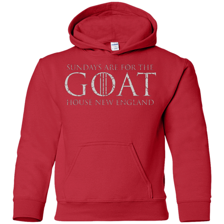 Sweatshirts Red / YS GOAT Youth Hoodie