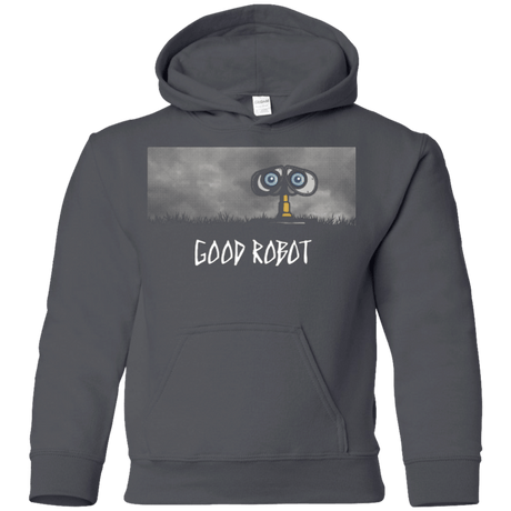 Sweatshirts Charcoal / YS GOOD ROBOT Youth Hoodie