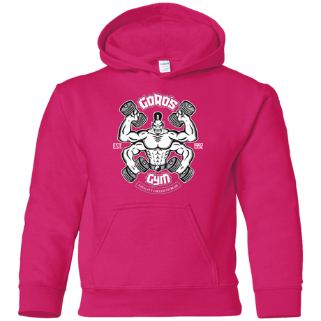 Sweatshirts Heliconia / YS Goros Gym Youth Hoodie