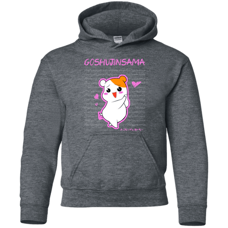 Sweatshirts Dark Heather / YS Goshujinsama Youth Hoodie