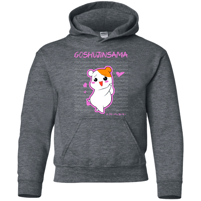 Sweatshirts Dark Heather / YS Goshujinsama Youth Hoodie