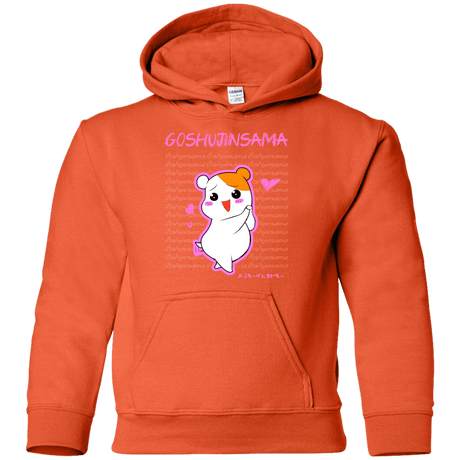 Sweatshirts Orange / YS Goshujinsama Youth Hoodie